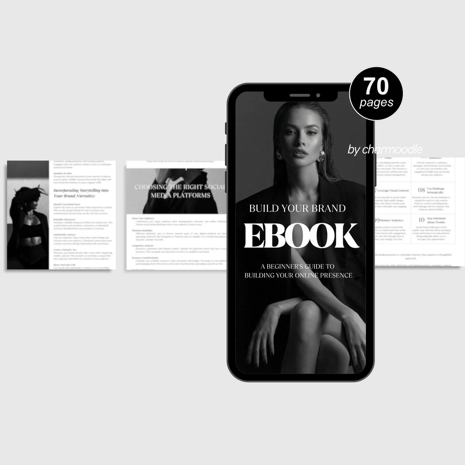 10+ Million Digital Products Bundle (MRR & PLR Resell Package) · Screenshot 3