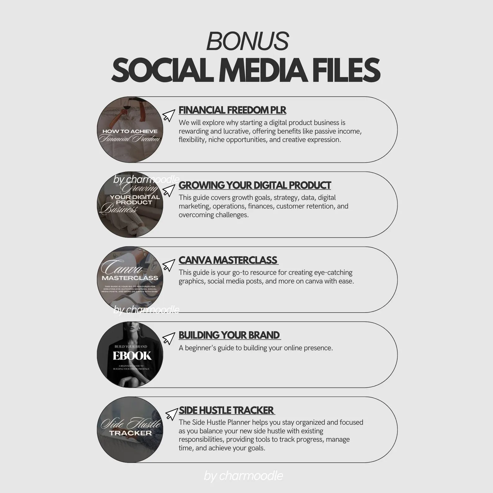 10+ Million Digital Products Bundle (MRR & PLR Resell Package) · Screenshot 5