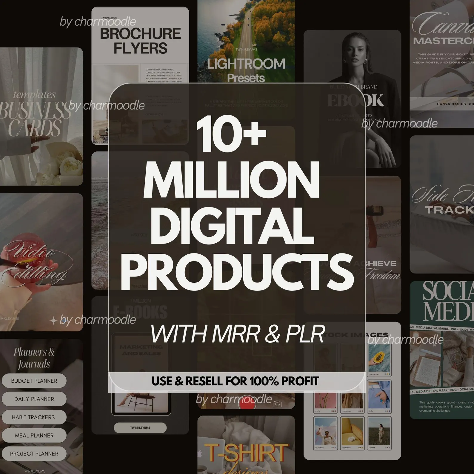 10+ Million Digital Products Bundle (MRR & PLR Resell Package)